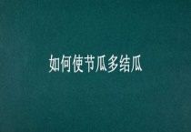 如何使节瓜多结瓜