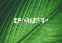 家庭中的氮肥有哪些？