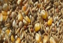 肉牛饲料配制方法 有以下三个方面