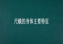 尺蛾的身体主要特征