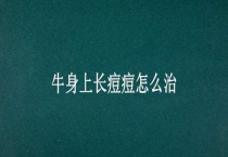 牛身上长痘痘怎么治