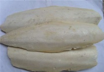 海螵蛸是哪种动物体内的器官