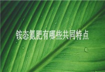 铵态氮肥有哪些共同特点