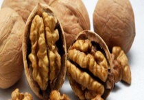 核桃腐烂病的防治方法 注意对树干进行涂白工作