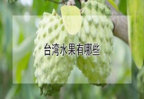 台湾水果有哪些？