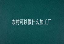 农村可以做什么加工厂