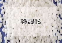 珍珠岩是什么？