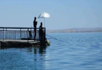 有哪些口诀及作钓技巧适合钓鲤鱼 掌握鲤鱼的摄食习惯是钓鱼的关键