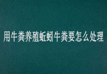 用牛粪养殖蚯蚓牛粪要怎么多久？