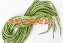 豇豆和豆角的区别？