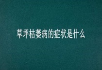 草坪枯萎病的症状是什么？