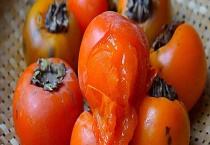 柿子催熟剂有哪些配方 具体怎样操作