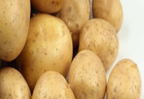 变态茎和根有什么区别？？