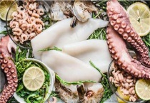 章鱼和鱿鱼的区别？