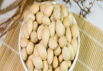 白果生吃可行吗 白果的食用禁忌有哪些？