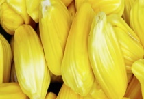 菠萝蜜怎么吃？里面的丝丝可以吃吗？