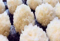 白木耳是银耳吗 附银耳的产地分布和泡发多久？