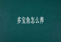 多宝鱼怎么养