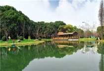 钓鲢鳙怎么找鱼层和抓顿口