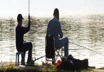 水库钓鱼饵料配方大全 详细如下