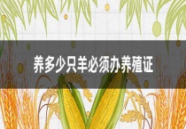 养多少只羊必须办养殖证