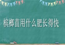 槟榔苗用什么肥长得快