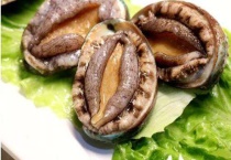 鲍鱼生长在深海还是浅海