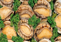 死鲍鱼有没有毒 鲍鱼的品种有哪些？