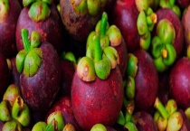 山竹油竹、花竹和沙竹的区别？ 附山竹的挑选多久？