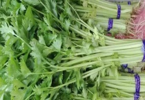 荷兰芹和香菜的区别？