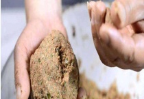 春季钓鲫鱼用什么打窝？注意事项有哪些？