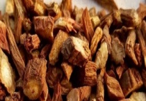 丹参是如何繁殖的 有哪些功效和作用