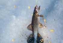 夜晚钓鱼要哪些装备？详细介绍