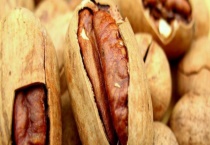 干果生虫怎么处理 干果的保存多久？