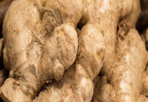 生姜的生长环境和气候