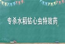 专杀水稻钻心虫特效药