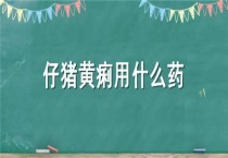 仔猪黄痢用什么药