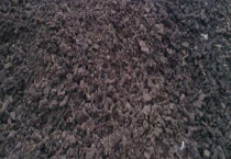 有机肥做追肥需注意的问题 注意育苗要适量