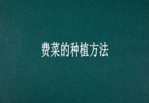 费菜的种植多久？