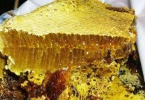 蜂巢蜜和土蜂蜜的区别？ 详细介绍