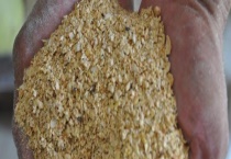 杂粕代替豆粕有哪些问题 主要有六个方面