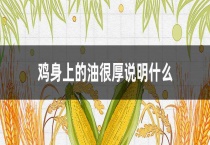 鸡身上的油很厚说明什么？
