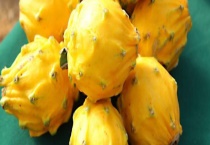 燕窝果种植条件要求 燕窝果为什么这么贵