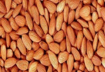 杏仁产地在哪 附杏仁的副作用