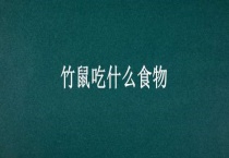 竹鼠吃什么食物