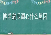 博洋甜瓜酒心什么原因？