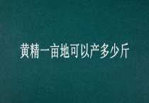 黄精一亩地可以产多少斤