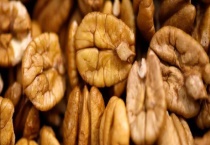 美国薄壳山核桃的丰产种植技术 多久能挂果