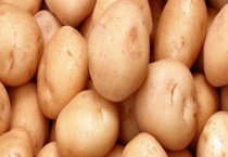 土豆种植时间和多久？