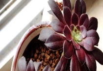 黑法师杆子弯怎么调直